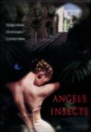 Angels and Insects 